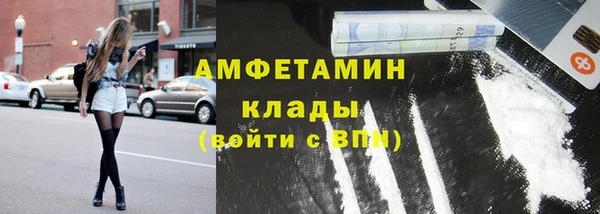 прущие грибы Арсеньев