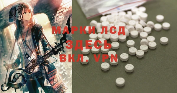 прущие грибы Арсеньев