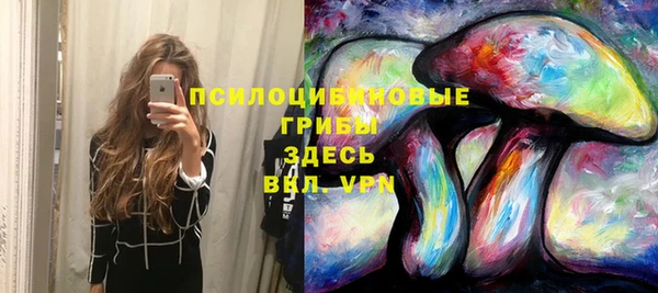 прущие грибы Арсеньев