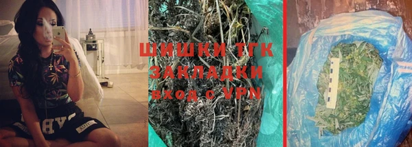 прущие грибы Арсеньев