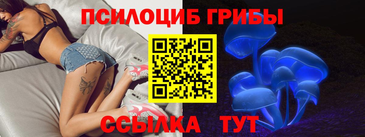 Зеленокумск  Псилоцибиновые грибы мицелий  Вход с VPN 